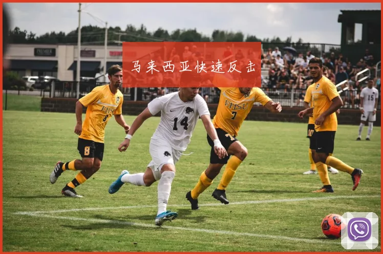马来西亚快速反击