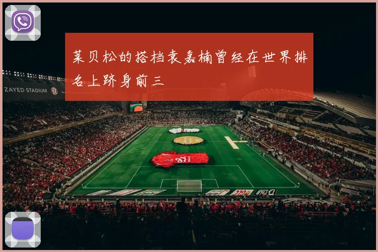 莱贝松的搭档袁嘉楠曾经在世界排名上跻身前三