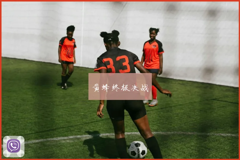 黄蜂终极决战