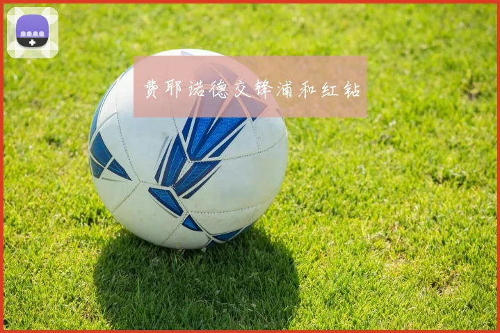 费耶诺德交锋浦和红钻