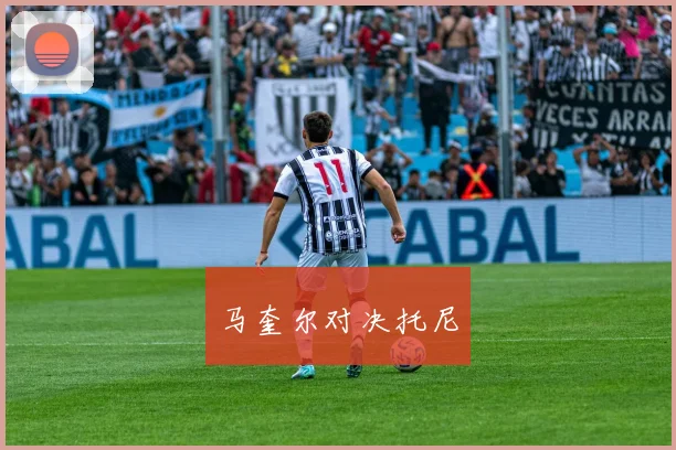 马奎尔对决托尼