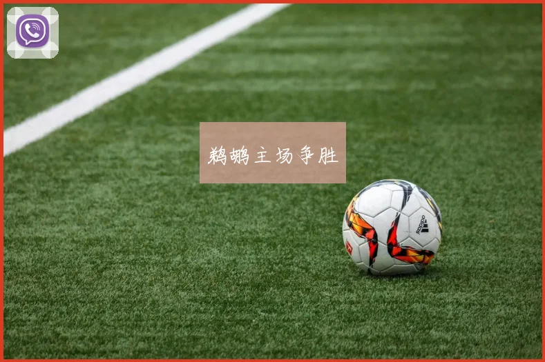 鹈鹕主场争胜