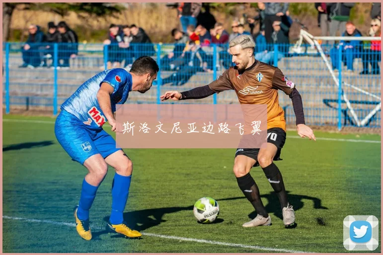 斯洛文尼亚边路飞翼