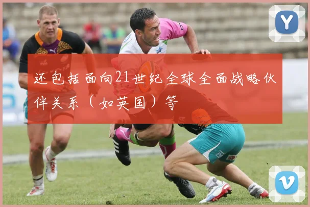 还包括面向21世纪全球全面战略伙伴关系（如英国）等