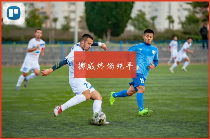 挪威终场绝平