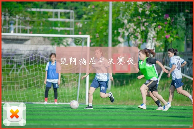 楚阿梅尼半决赛夜