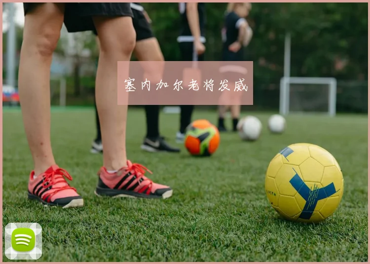 塞内加尔老将发威