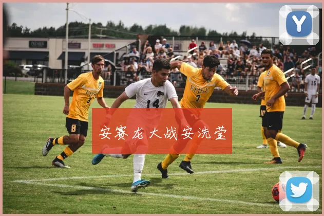 安赛龙大战安洗莹