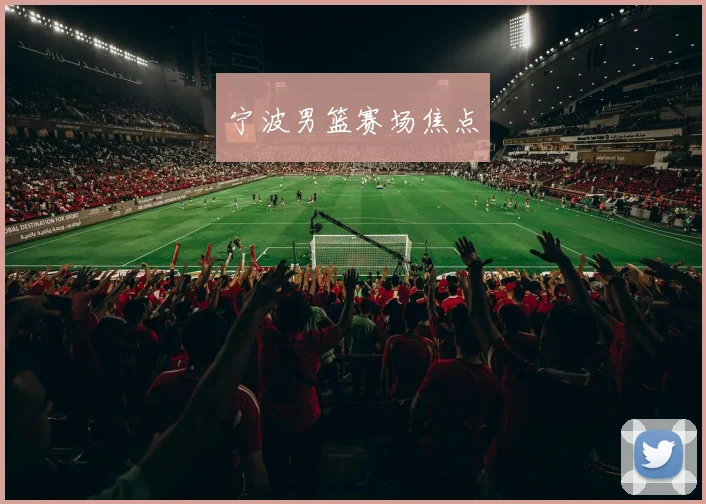 宁波男篮赛场焦点