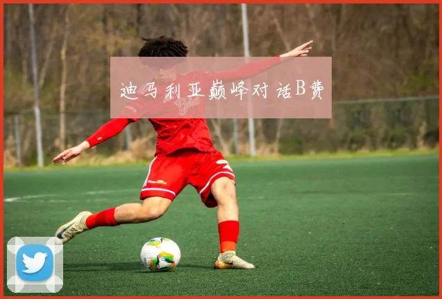 迪马利亚巅峰对话B费