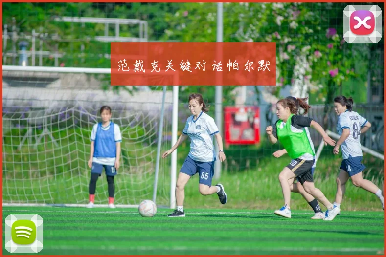 范戴克关键对话帕尔默