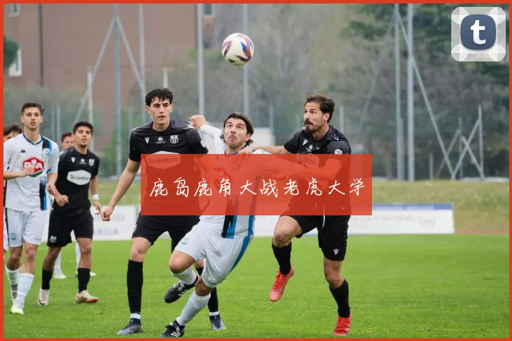 鹿岛鹿角大战老虎大学