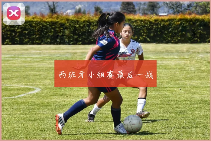 西班牙小组赛最后一战