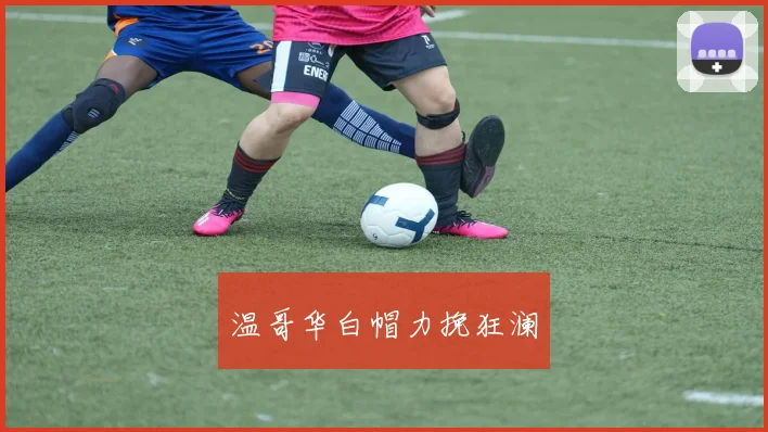 温哥华白帽力挽狂澜
