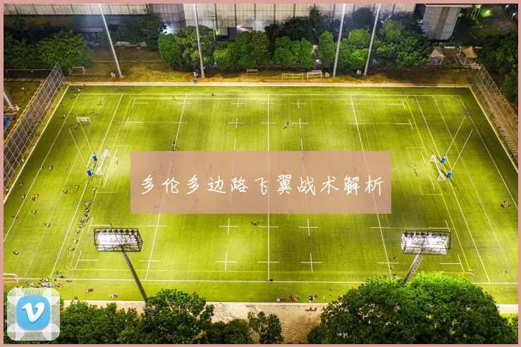 多伦多边路飞翼战术解析