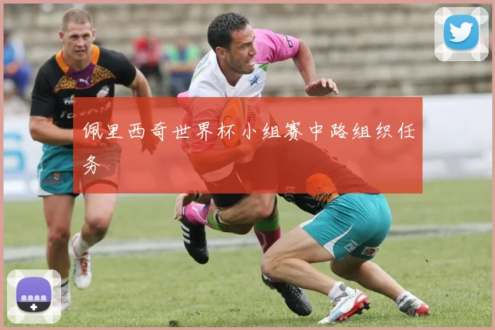 佩里西奇世界杯小组赛中路组织任务